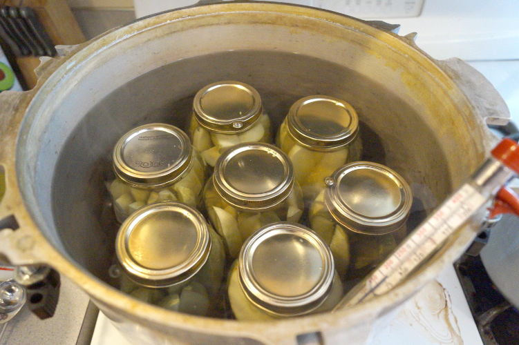 Pickle Canner