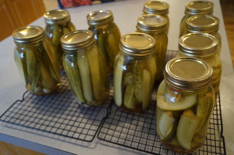 Home Made Pickles